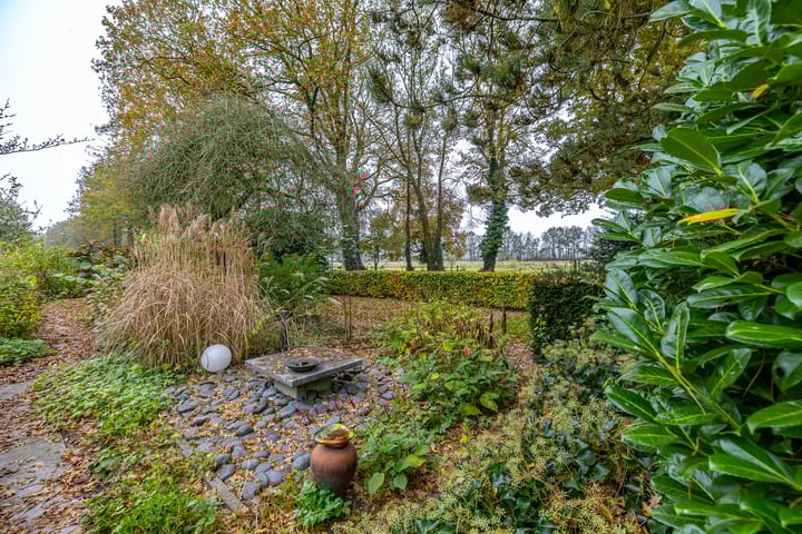 Foto 5 van Gagels 19