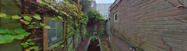 View 360° photo of Achtertuin of Nieuwe Koekoekstraat 86