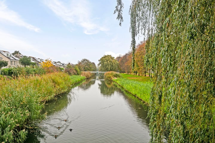 Bekijk foto 40 van Krokusstraat 39