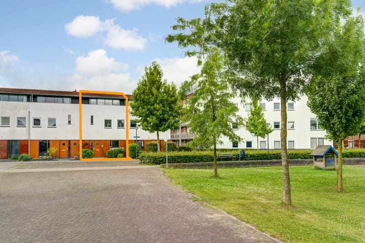 Foto 2 van Sterrenhemel 8