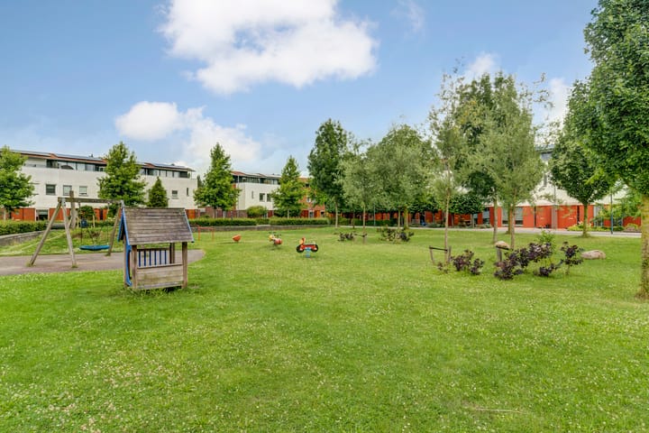 Foto 3 van Sterrenhemel 8