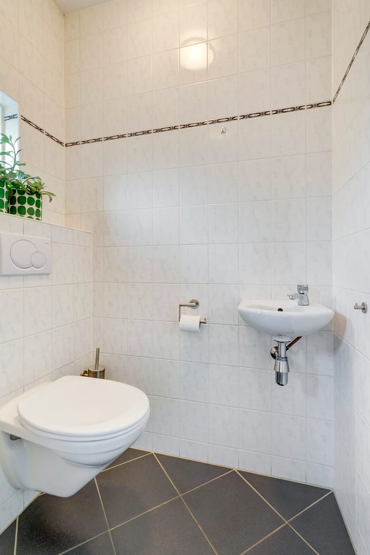 Foto 11 van Sterrenhemel 8