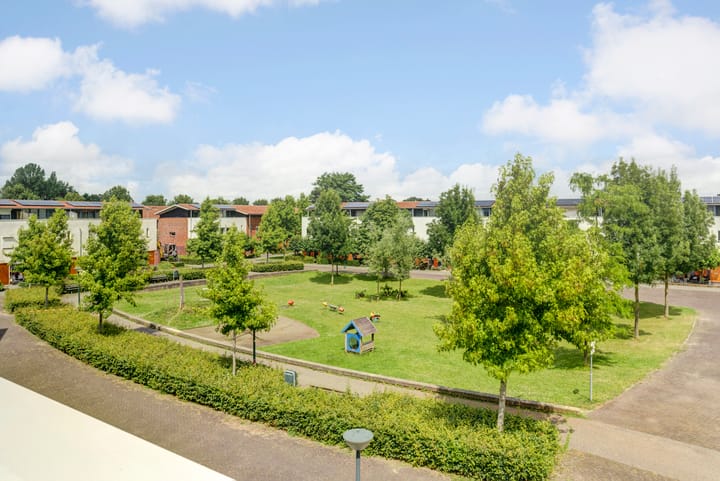 Foto 25 van Sterrenhemel 8