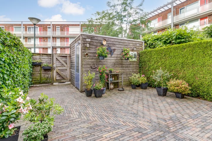 Foto 28 van Sterrenhemel 8