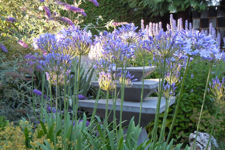 Foto 33 van Lindestraat 16