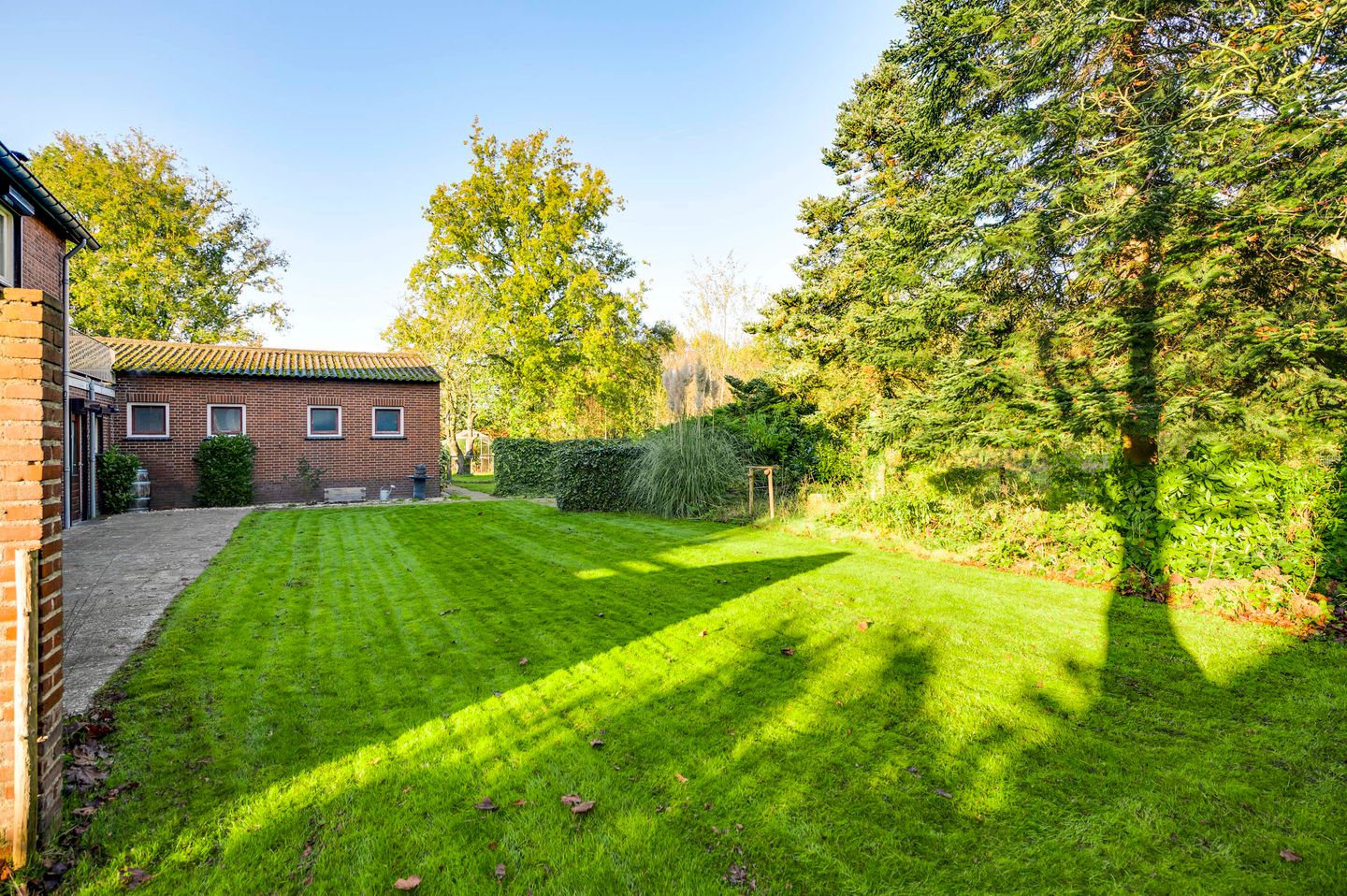 Foto 34 van Azaleaweg 18