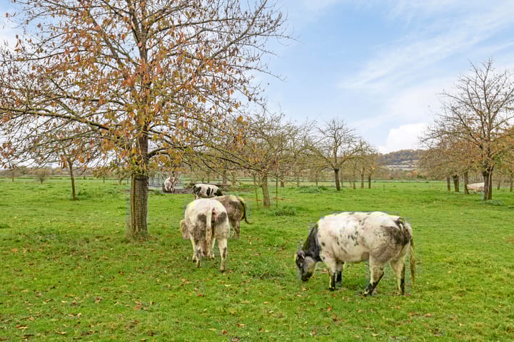 Photo 40 of Kloppenbergweg 17-A