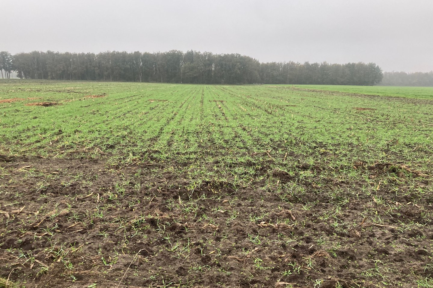 Bekijk foto 3 van Zeilbergseweg