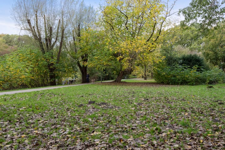 Foto 25 van Gijsbrecht van IJselsteinstraat 239