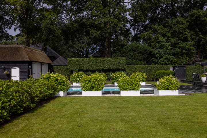 Photo 58 of Bartolottilaan 9