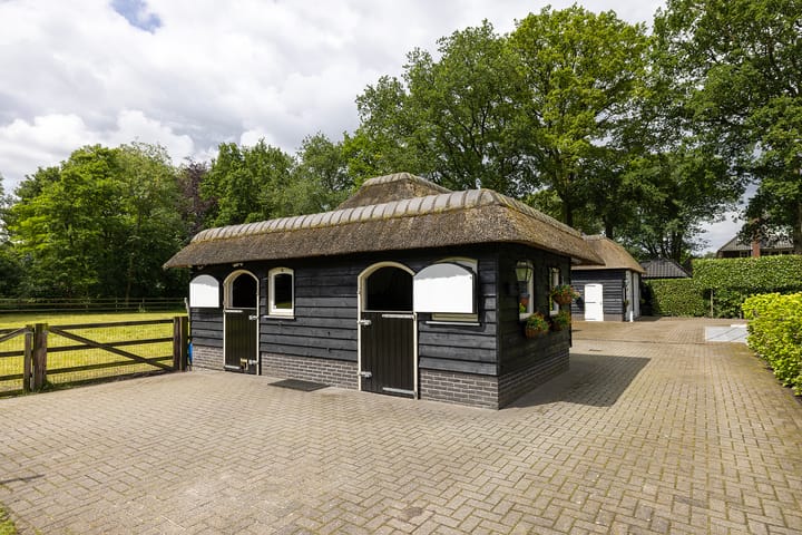 Photo 63 of Bartolottilaan 9