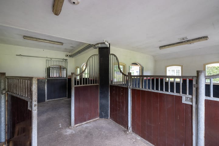 Photo 64 of Bartolottilaan 9