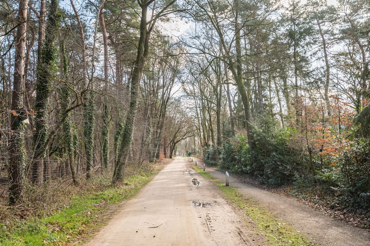 Bekijk foto 45 van Halseweg 54-23