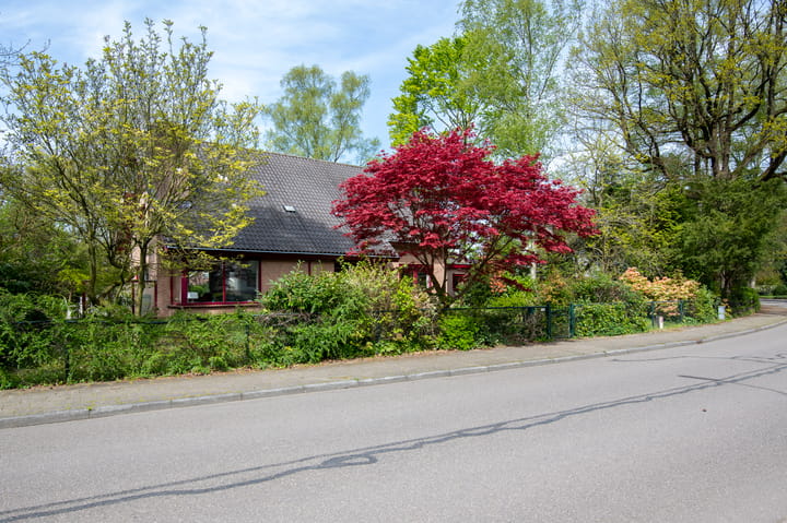 Foto 3 van Bosrand 18