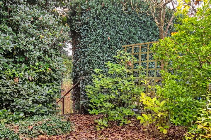 Foto 38 van Hulsbergstraat 48