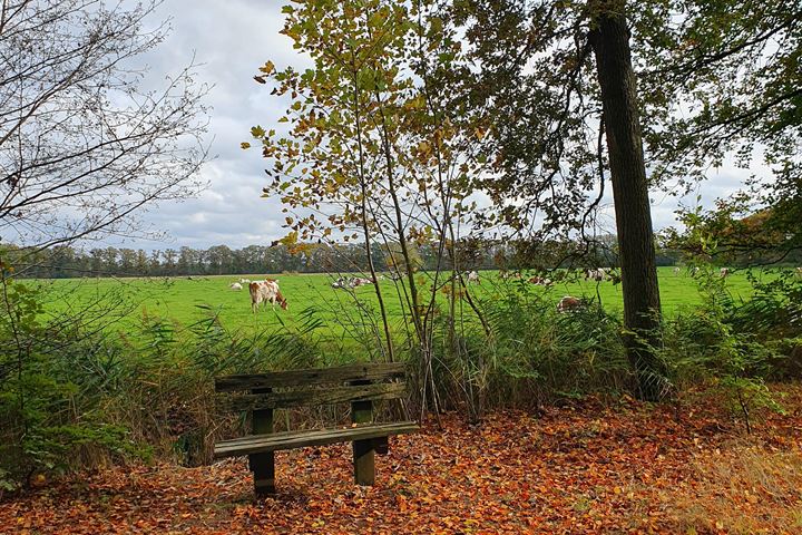 Bekijk foto 42 van Emelaarseweg 1-A