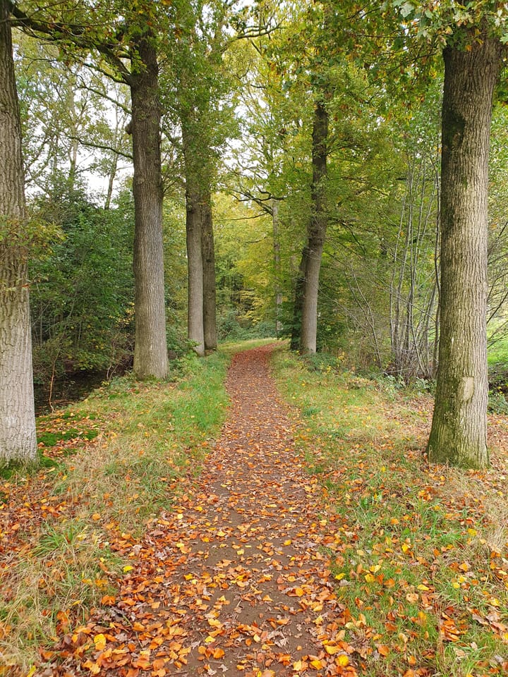 Photo 43 of Emelaarseweg 1-A