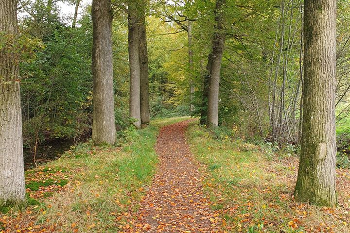 Bekijk foto 43 van Emelaarseweg 1-A