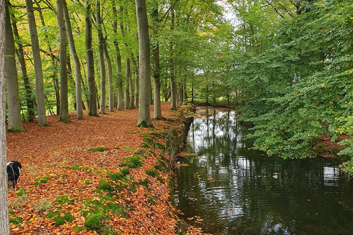 Bekijk foto 44 van Emelaarseweg 1-A