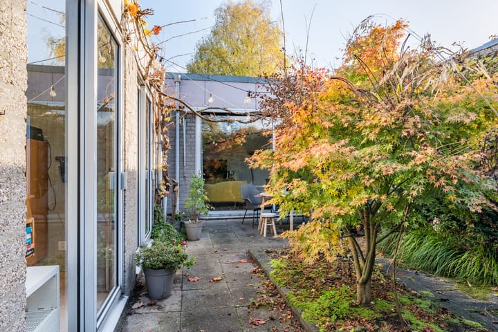 Photo 34 of Bijenveld 4