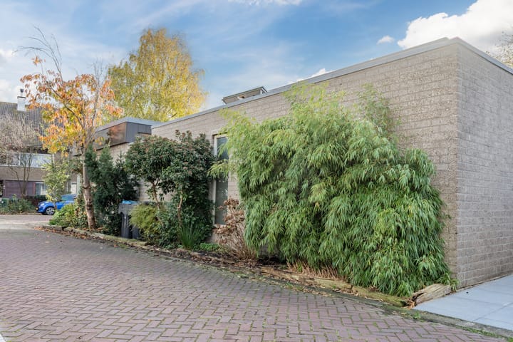 Photo 36 of Bijenveld 4