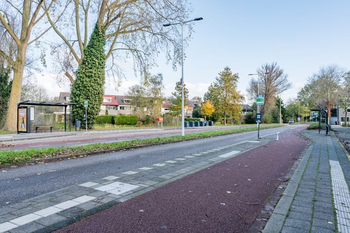 Photo 38 of Bijenveld 4