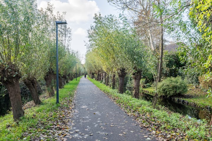 Photo 39 of Bijenveld 4