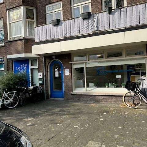 Bekijk foto 2 van van Montfoortstraat 15