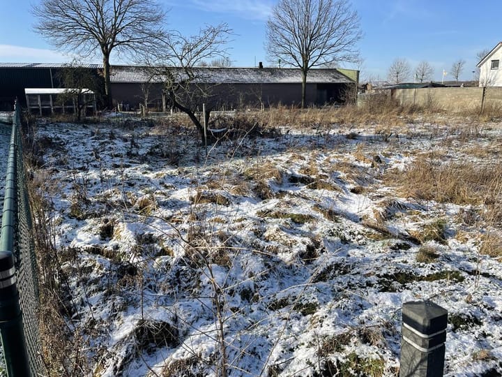 Foto 5 van Winkelweg