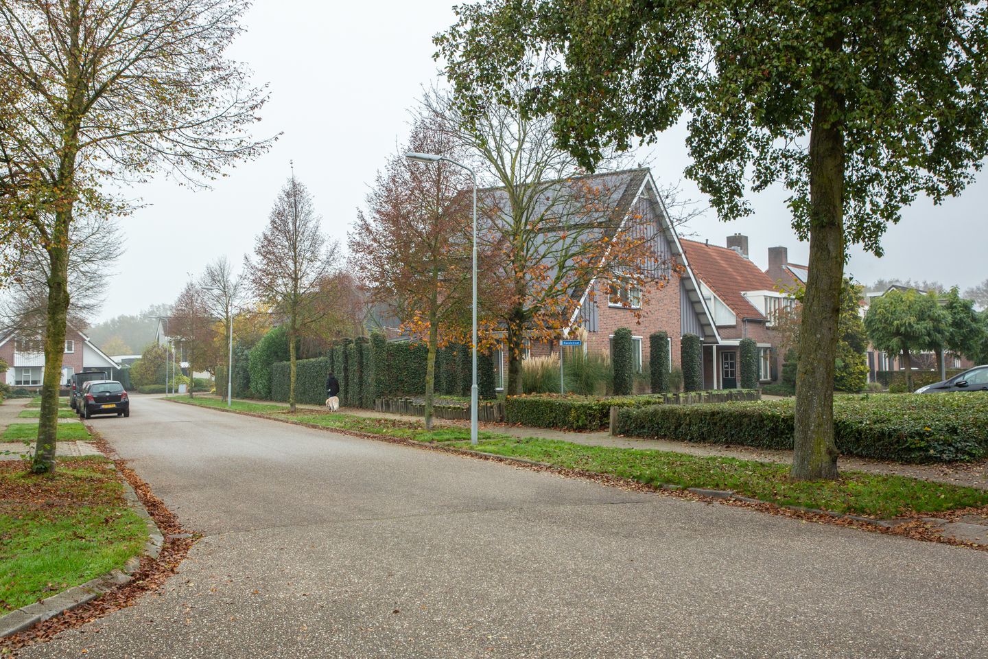 Foto 65 van Ravelstraat 15