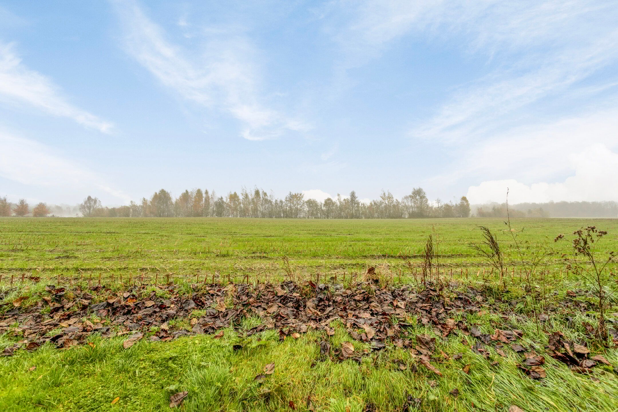 Photo 3 of Batendijk 2