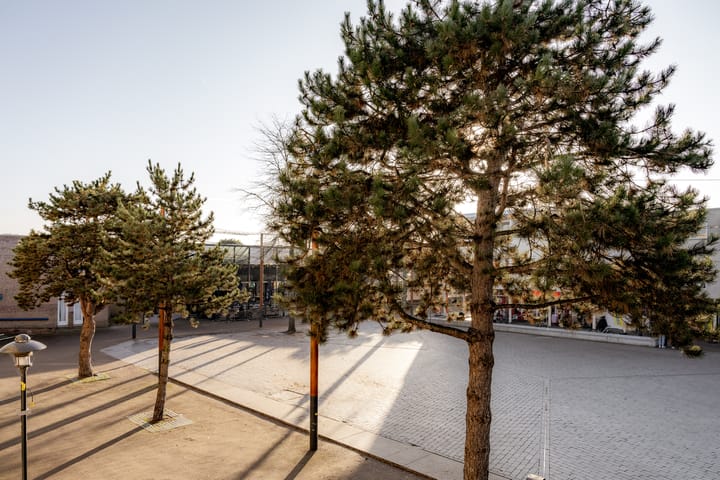 Foto 18 van Raadhuisstraat 2