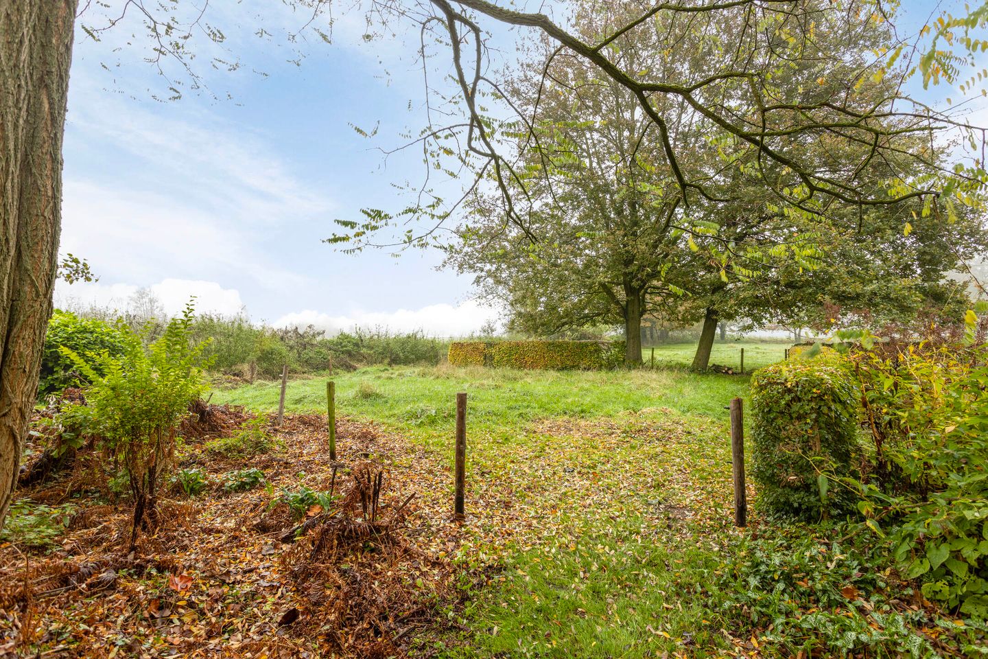 Photo 40 of Batendijk 2