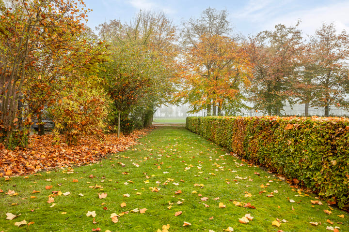 Foto 45 van Batendijk 2