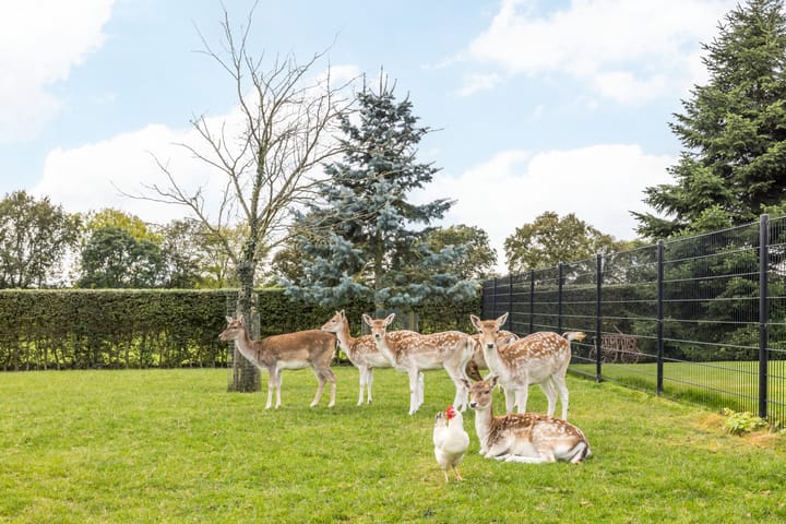 Foto 15 van Ravensboschstraat 57-A