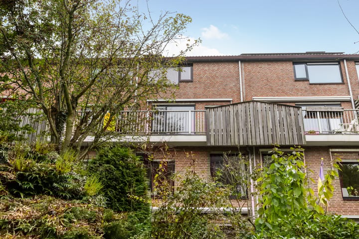 Foto 28 van Albert van Dalsumlaan 749