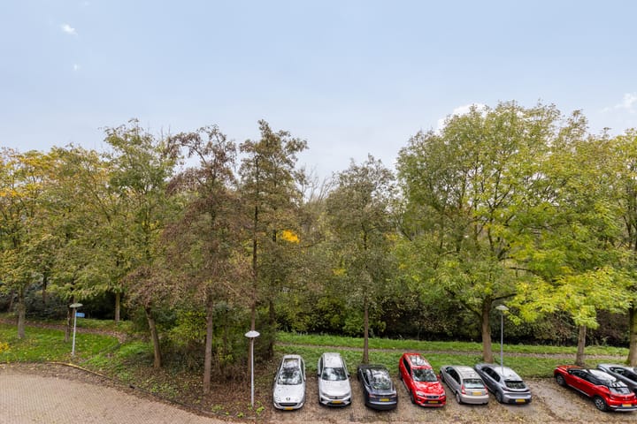 Foto 29 van Albert van Dalsumlaan 749