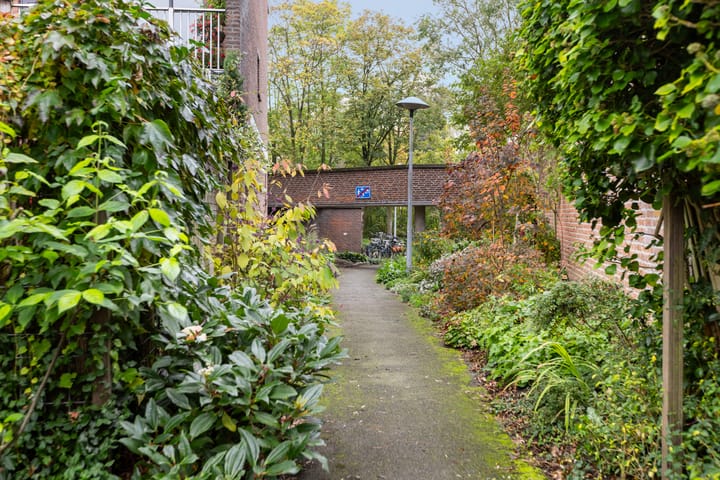 Foto 42 van Albert van Dalsumlaan 749