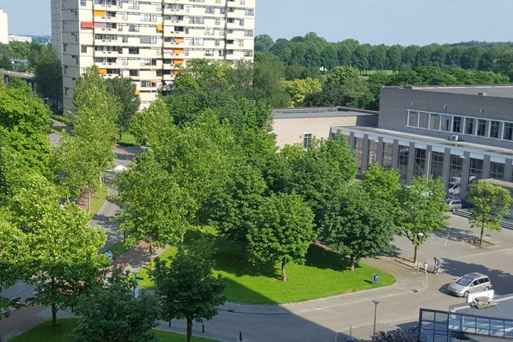 Bekijk foto 5 van Sweelinckplein 77