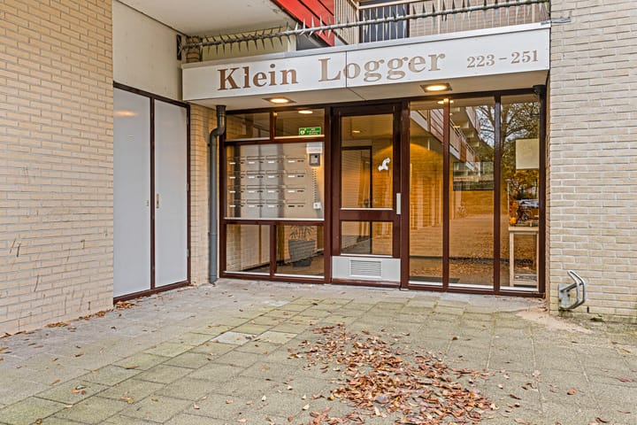 Photo 4 of Logger 235