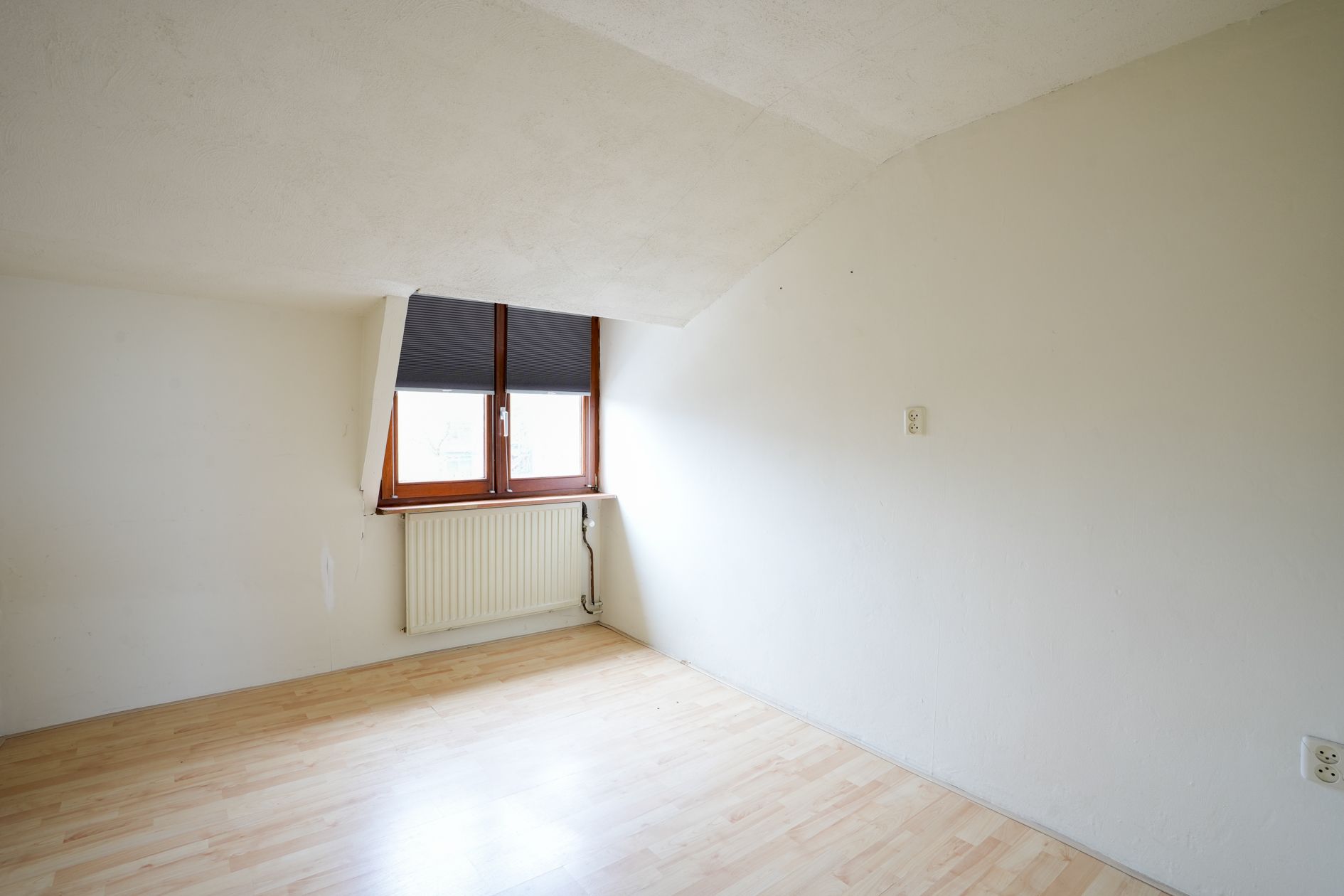 Photo 27 of Wolfeynde 20