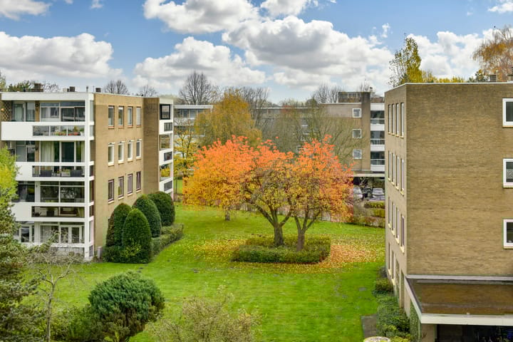 Photo 15 of Waddenland 70