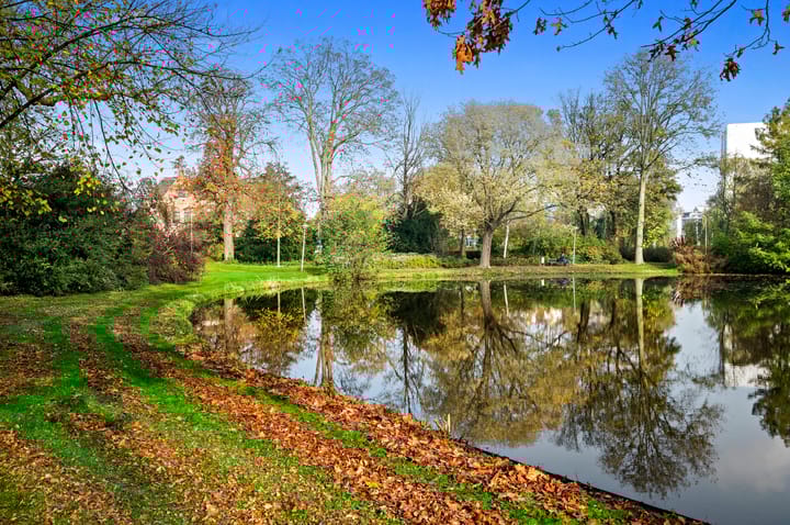 Foto 33 van Pasteurstraat 9