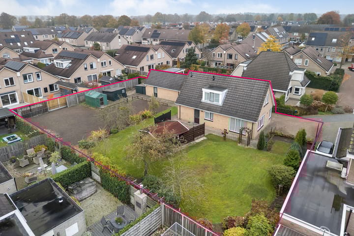 Foto 2 van Waterkers 12