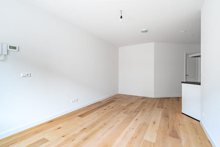 Foto 7 van Laan van Nieuw-Guinea 43-A