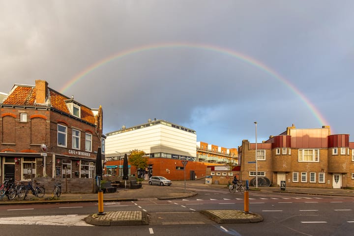 Foto 24 van Laan van Nieuw-Guinea 43-C