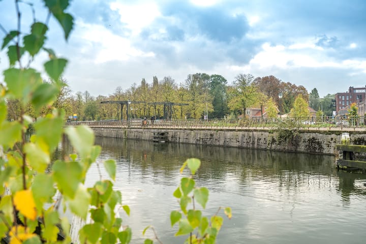 Foto 26 van Laan van Nieuw-Guinea 43-C