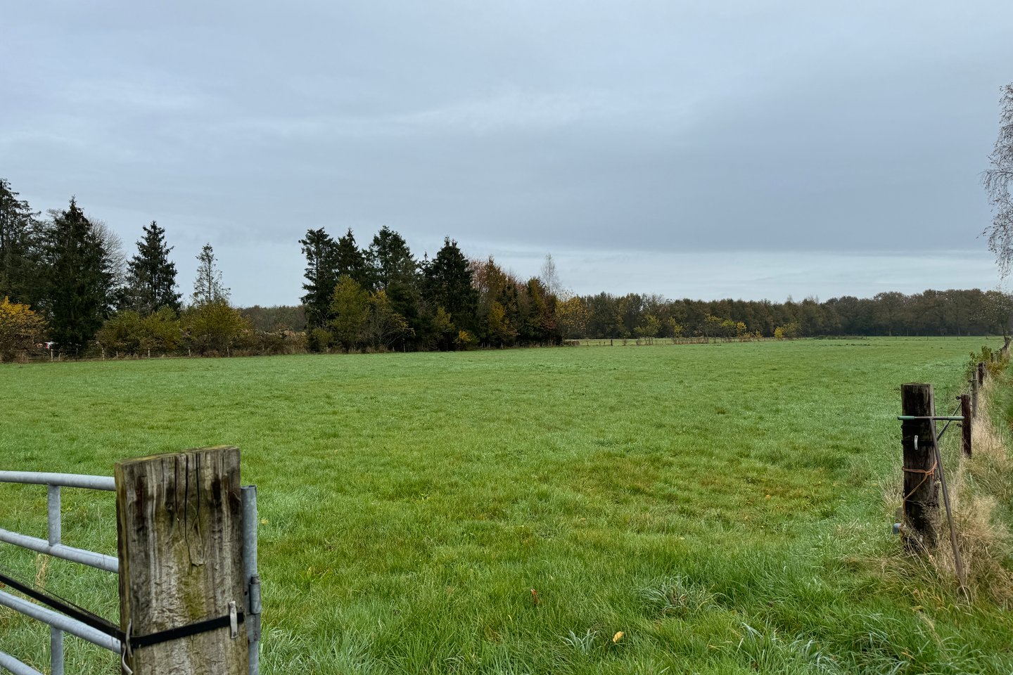 Bekijk foto 2 van Kortenbroekweg 12-nabij