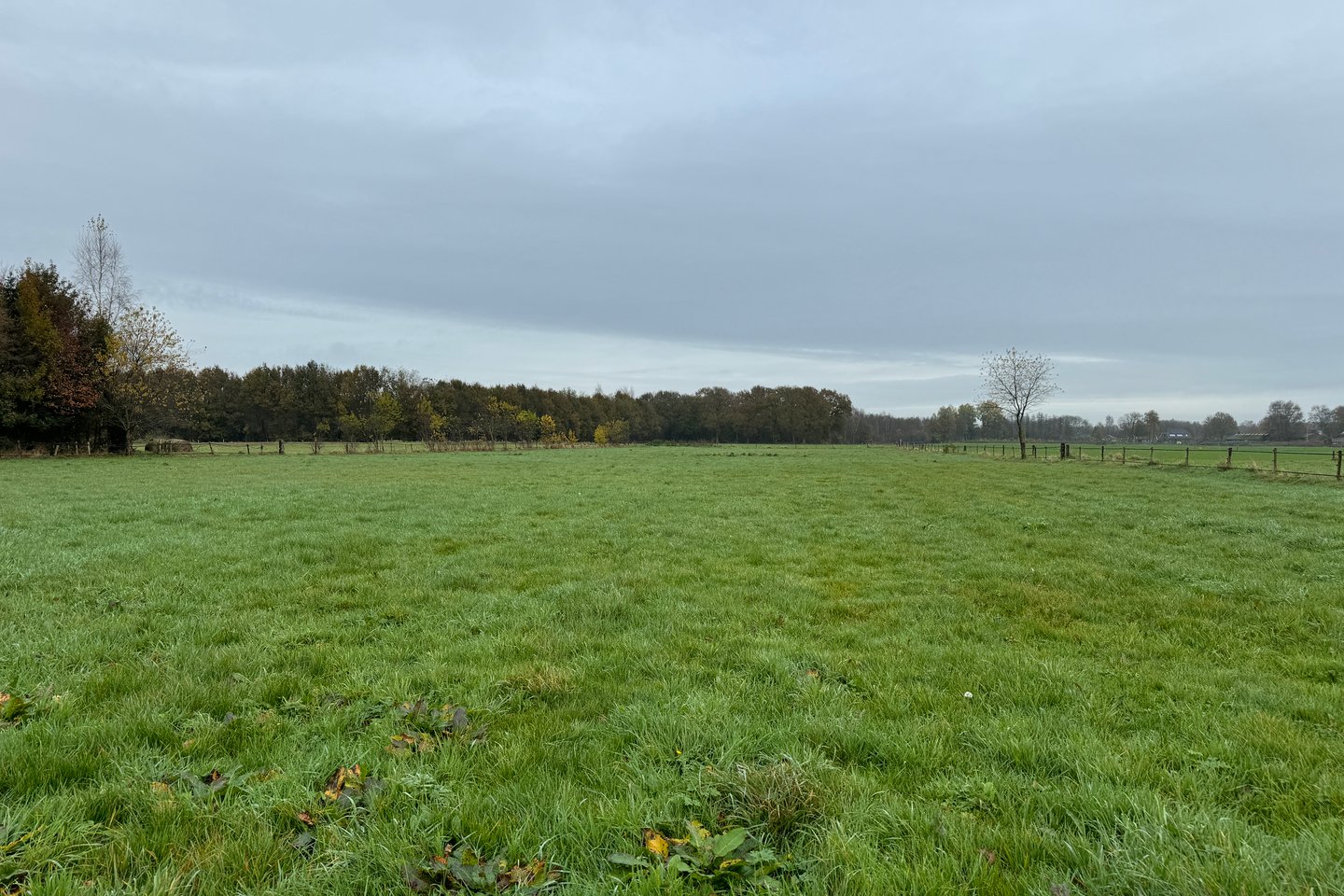 Bekijk foto 3 van Kortenbroekweg 12-nabij