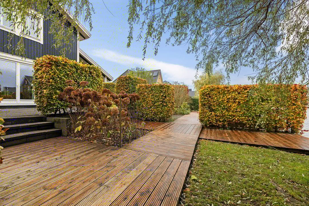 Foto 41 van It Sinderlân 31